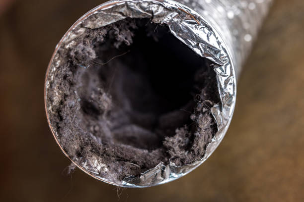 Best Best Air Duct Cleaning Near Me  in Tamaqua, PA