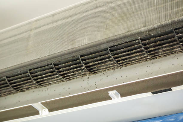 Best HVAC Air Duct Cleaning  in Tamaqua, PA