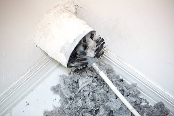 Best Air Duct Sanitizing Services  in Tamaqua, PA