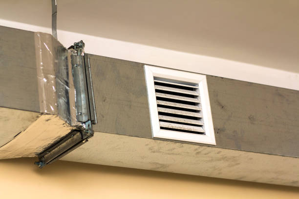 Best Air Duct Mold Removal  in Tamaqua, PA